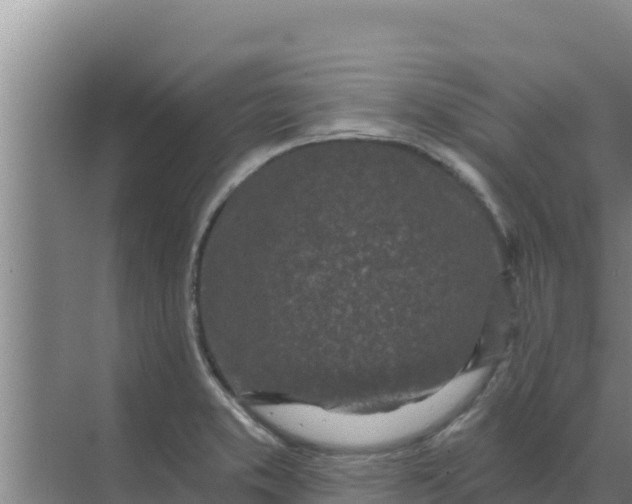 X0000071771373200607150017