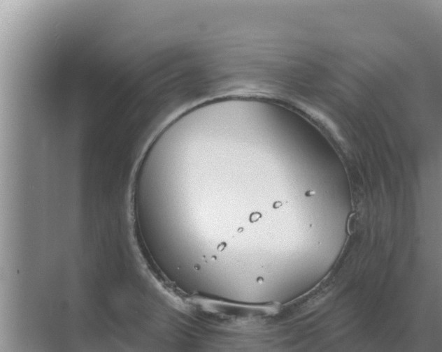 X0000071771375200607150017