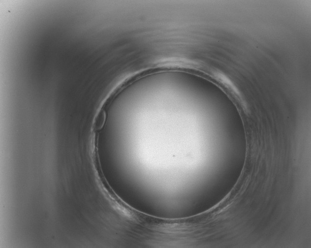 X0000071771376200607150017