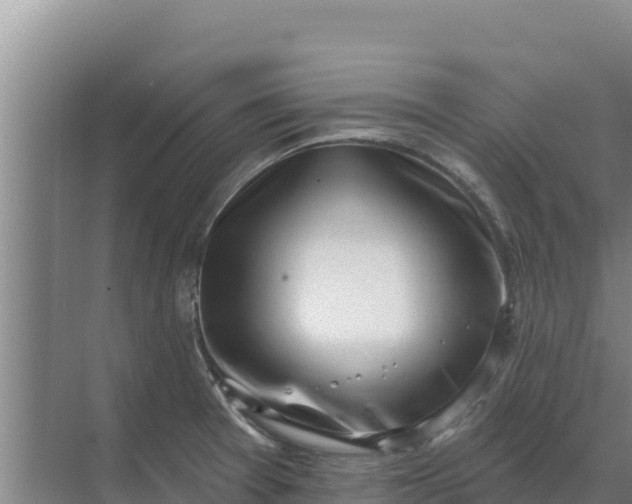 X0000071771377200607150017