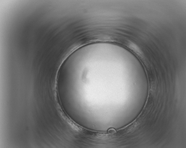 X0000071771378200607150017