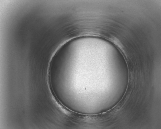 X0000071771379200607150017