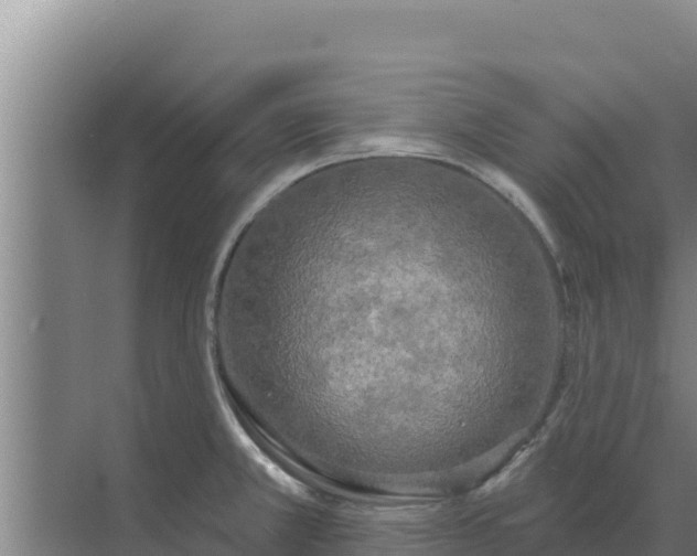 X0000071771381200607150017