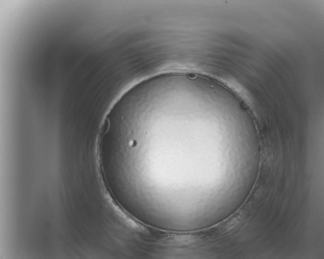 X0000071771382200607150017