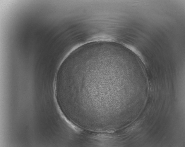 X0000071771383200607150017