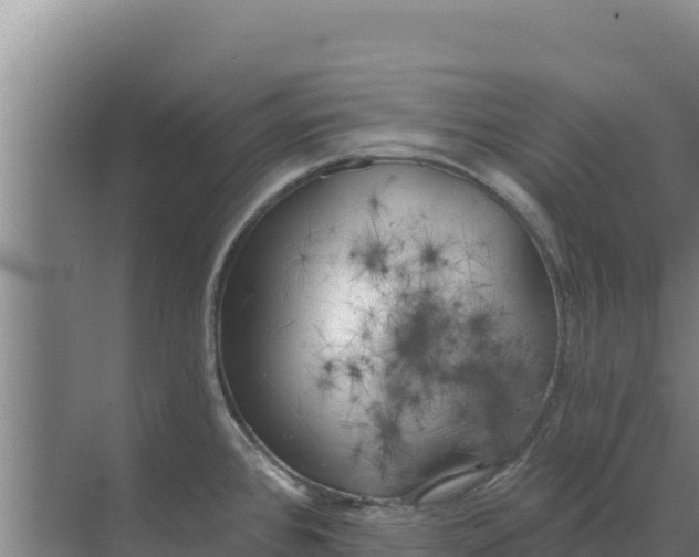 X0000071771384200607150017