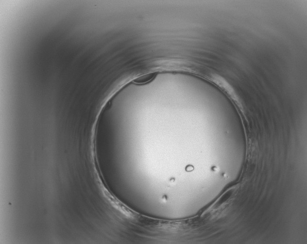 X0000071771386200607150017