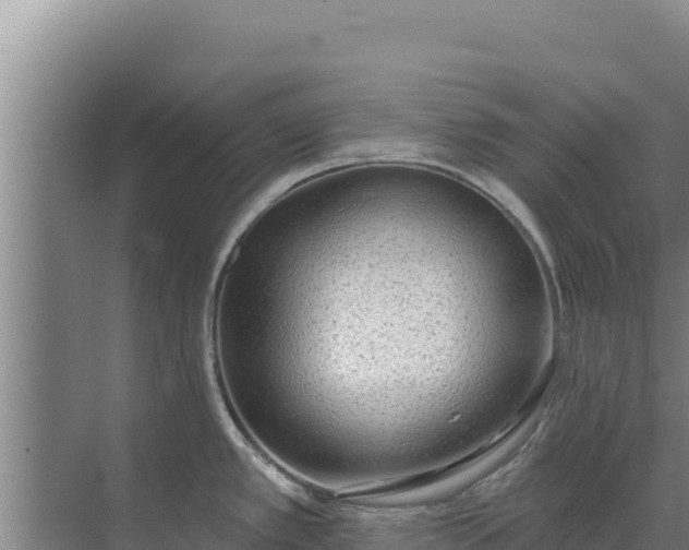 X0000071771389200607150017