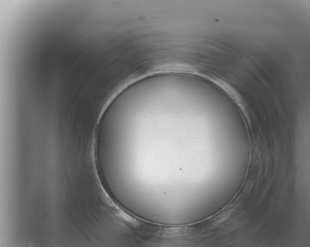 X0000071771390200607150017