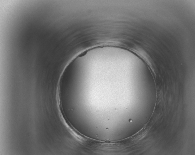 X0000071771391200607150017