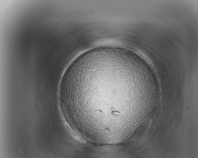 X0000071771392200607150017