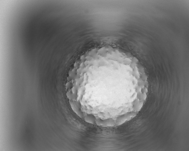 X0000071771393200607150016