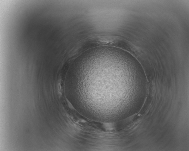 X0000071771394200607150016