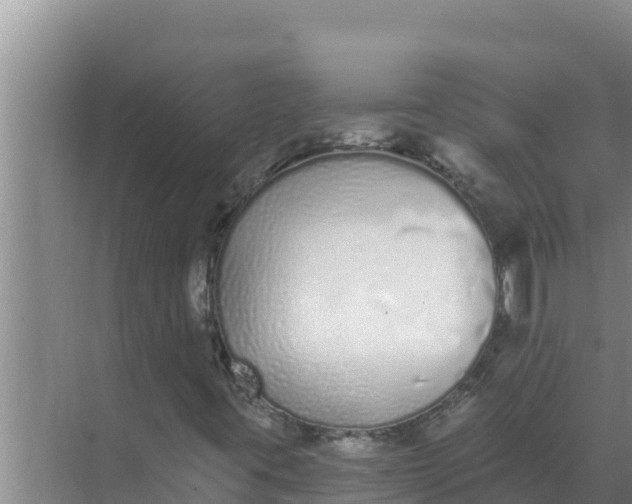 X0000071771395200607150016