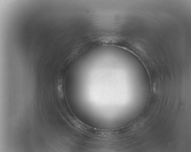 X0000071771396200607150016