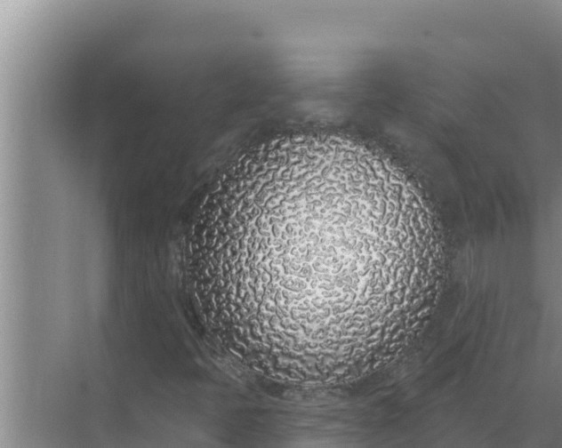 X0000071771397200607150016