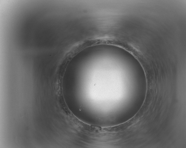 X0000071771398200607150016