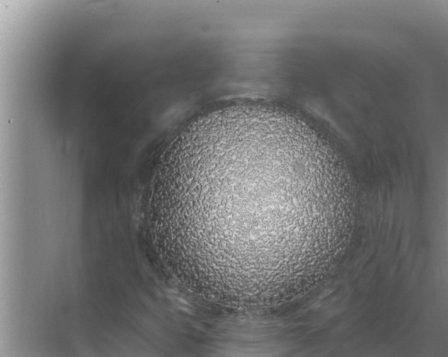 X0000071771399200607150016