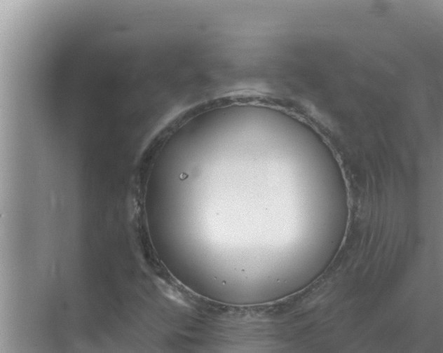 X0000071771400200607150016