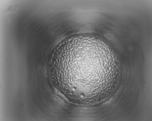 X0000071771401200607150016