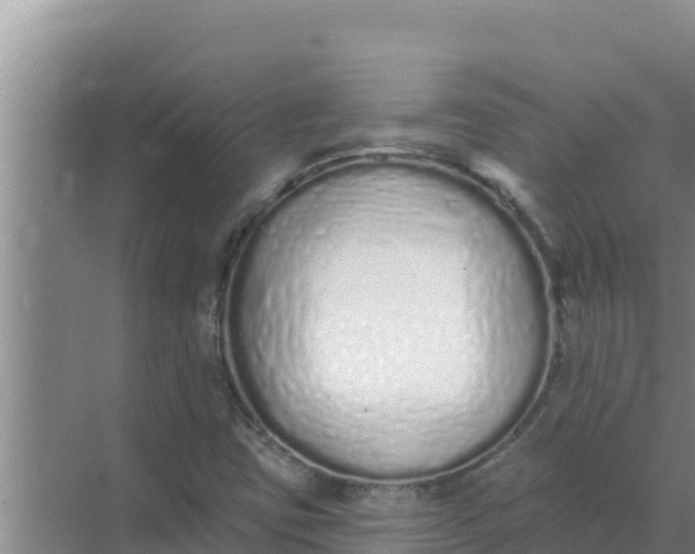 X0000071771403200607150016