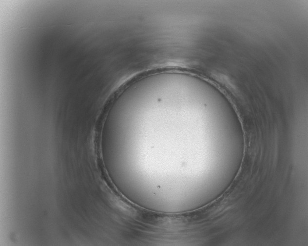 X0000071771404200607150016