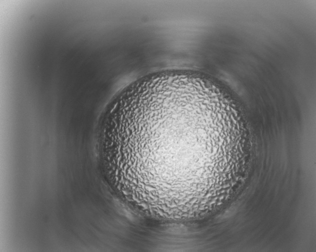 X0000071771405200607150016