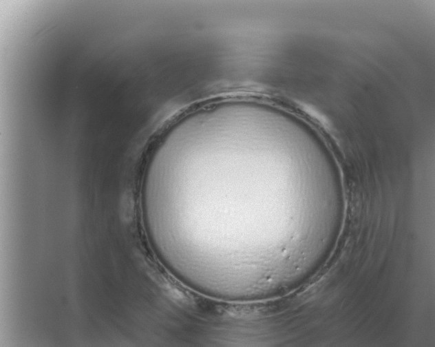 X0000071771407200607150016