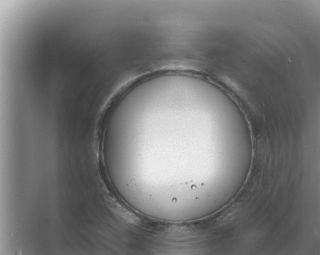 X0000071771408200607150016