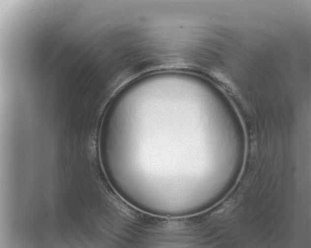 X0000071771409200607150016