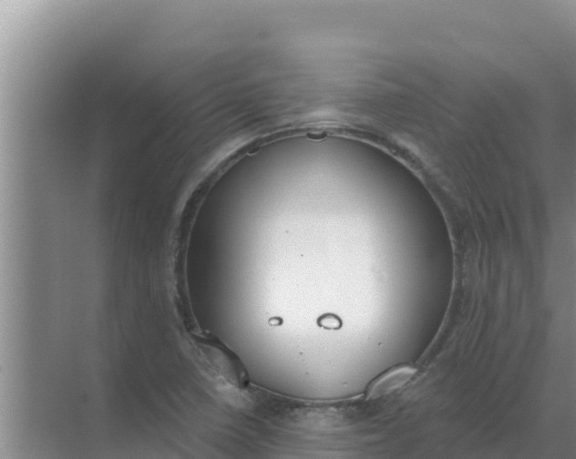 X0000071771410200607150016