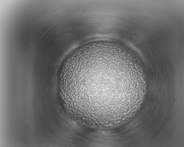 X0000071771411200607150016