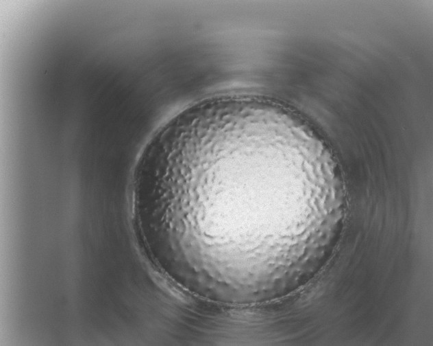 X0000071771413200607150016