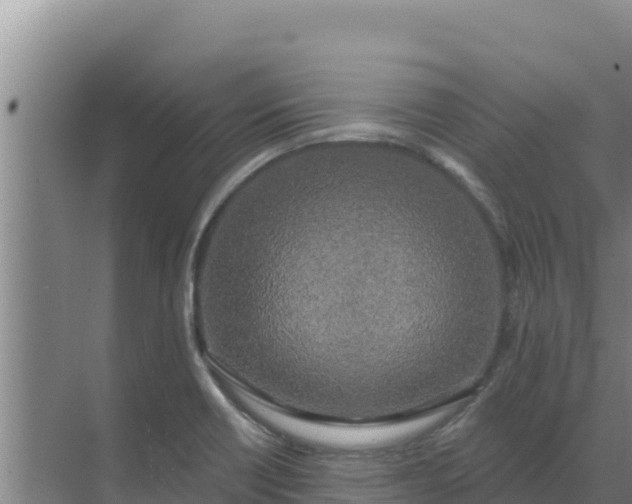 X0000071771418200607150016