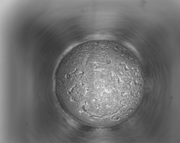 X0000071771419200607150016