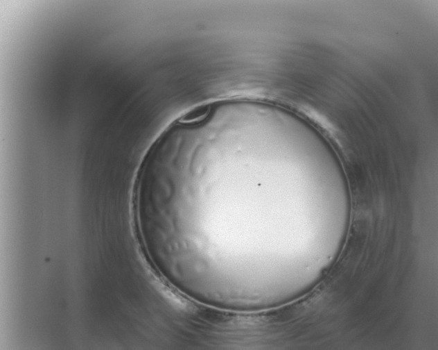 X0000071771423200607150016