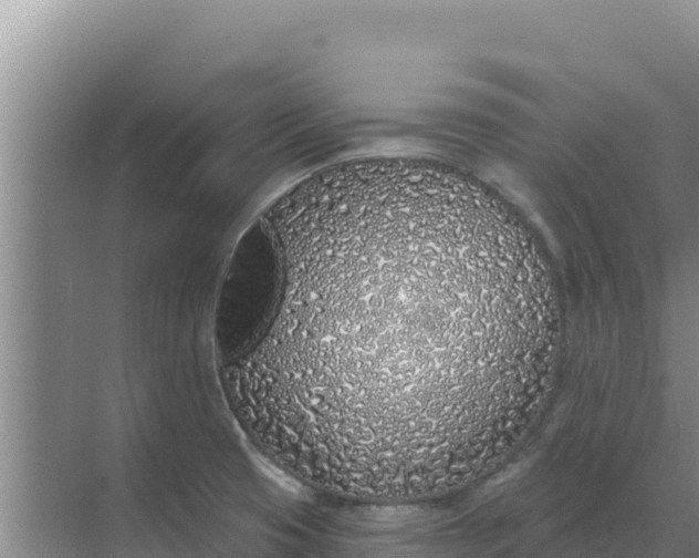 X0000071771425200607150016