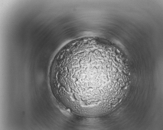 X0000071771427200607150017