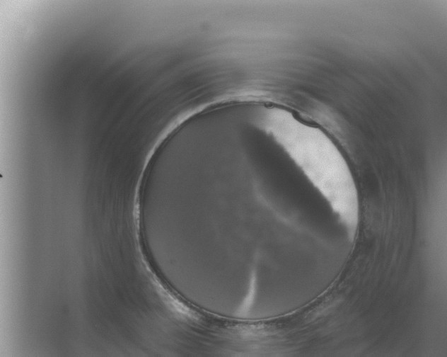 X0000071771428200607150017