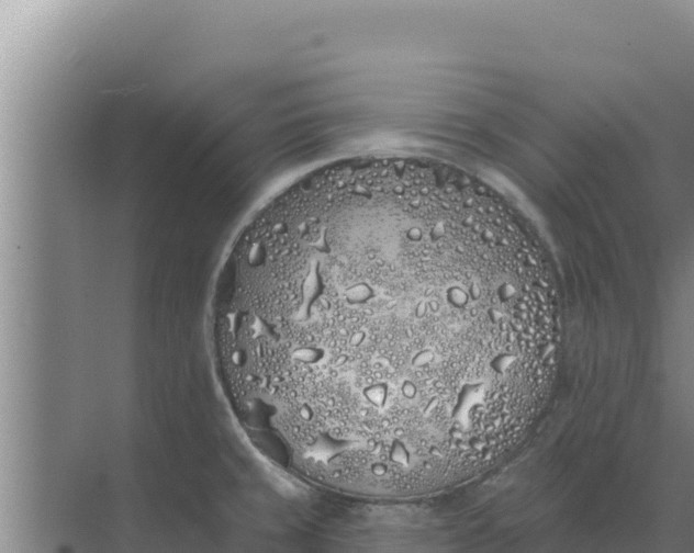 X0000071771429200607150017