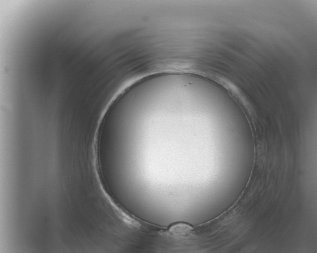 X0000071771432200607150017