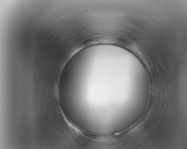 X0000071771433200607150017