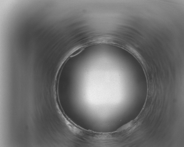 X0000071771434200607150017