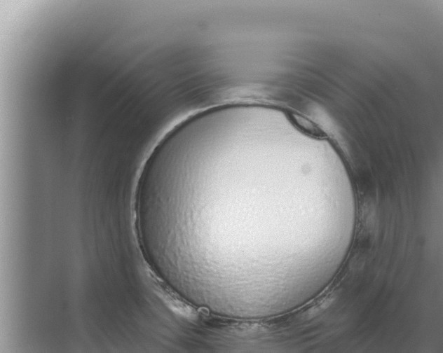 X0000071771435200607150017