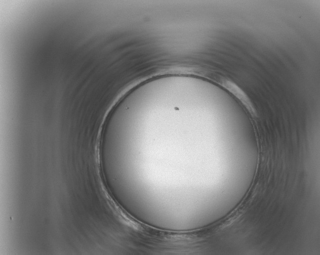 X0000071771436200607150017