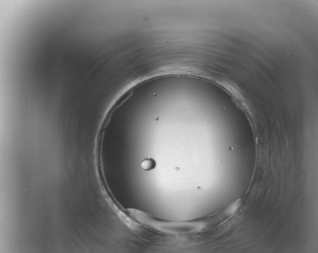 X0000071771438200607150017