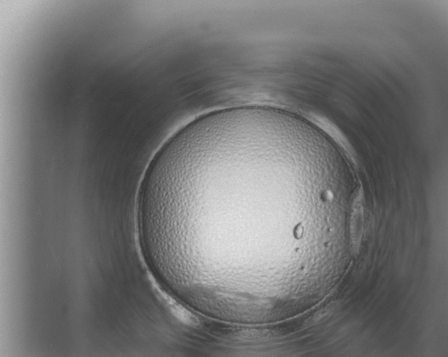 X0000071771439200607150017