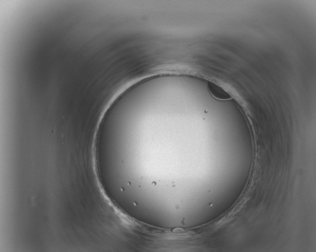 X0000071771440200607150017