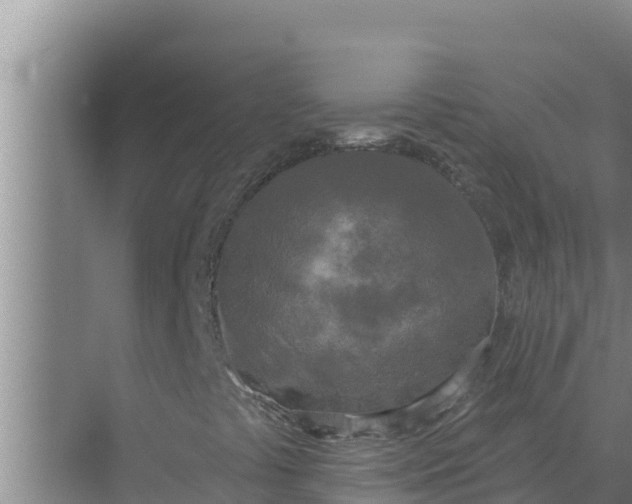 X0000071771441200607150016