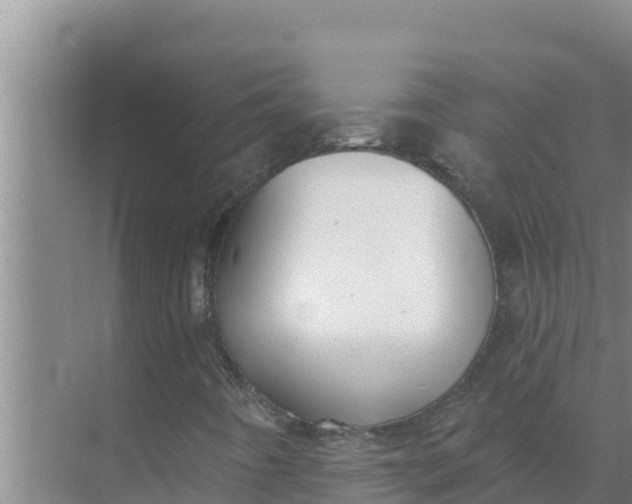 X0000071771442200607150016